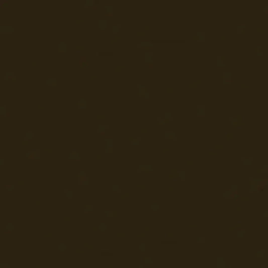 Brunschwig & Fils Georges Satin Silk “Espresso” Black MSRP USD470/y