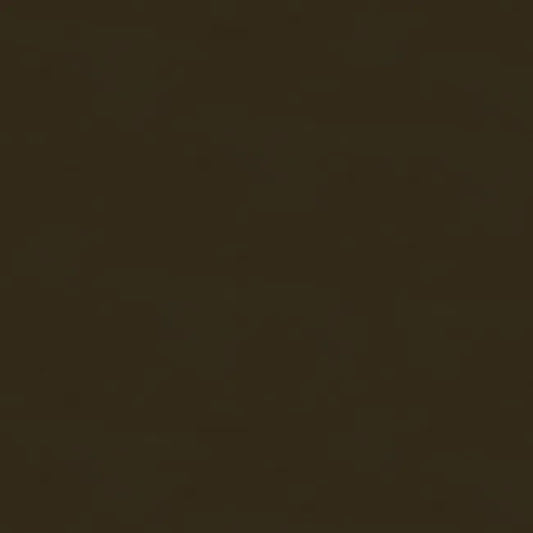 Brunschwig & Fils Georges Satin Silk “Chocolate” Brown MSRP USD470/y