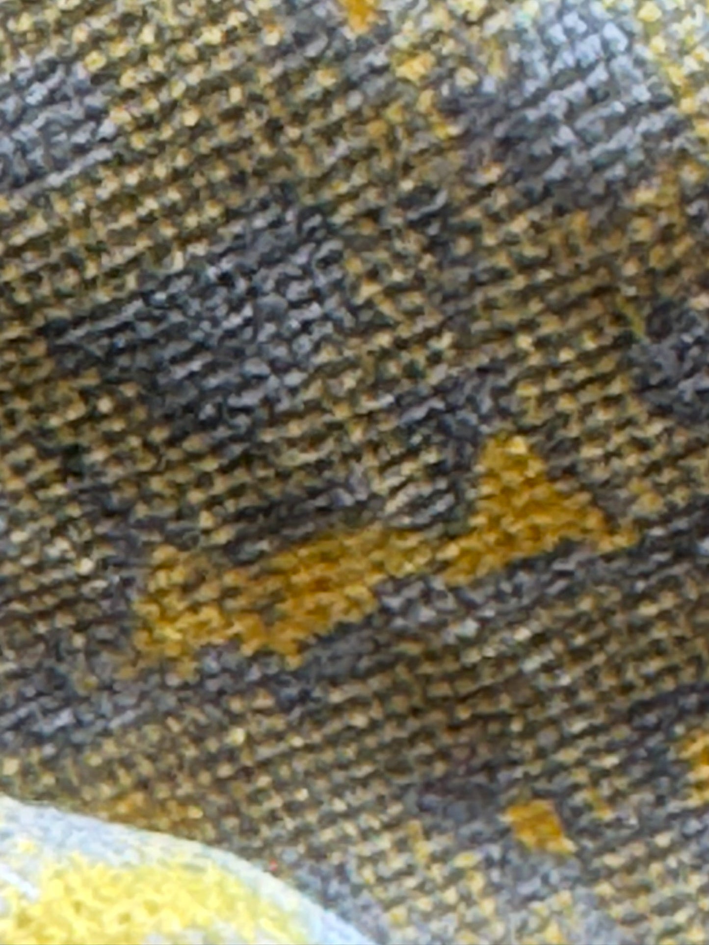 Scalamandre Fragment in Artisans Gold Velvet Impressionist Print Moody Viscose Polyester - By The Yard