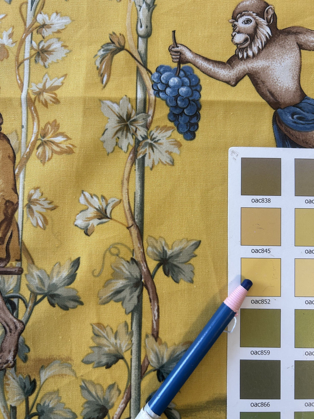 2.2Y Scalamandre Fonthill La Vendemmia in Yellow Gold Print Cotton Monkey Grape Vineyard Harvest
