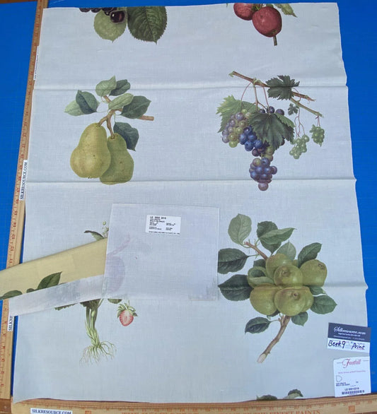18d Berkbox9 Length Scalamandre Print 34"L x 27" W Les Fruits Multi On Ivory