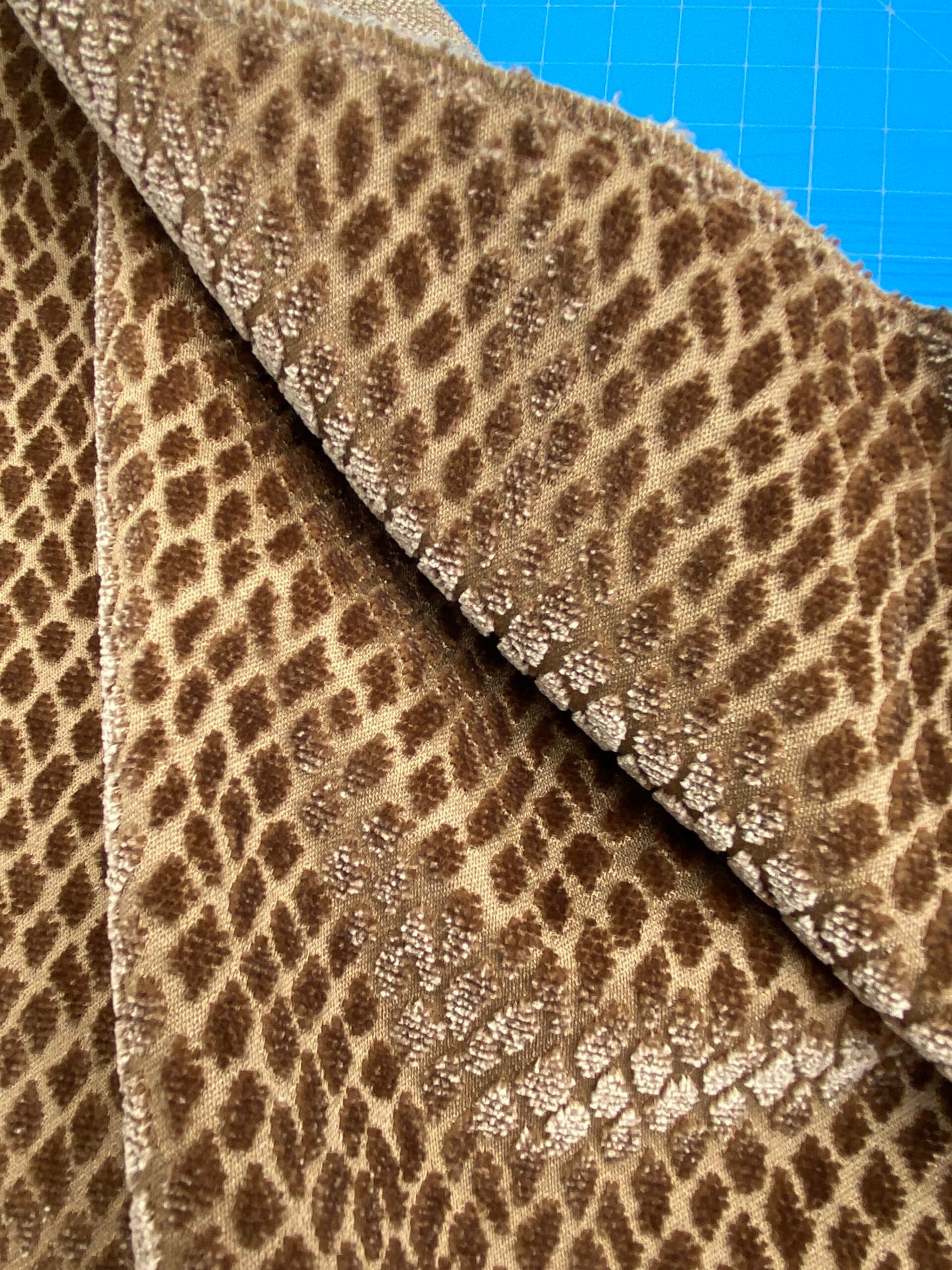 30 Berkbox101 Square Silky by Scalamandre Iguana Castagna Brown Small Scale Silk Cotton Jacquard Velvet MSRP USD300+/y