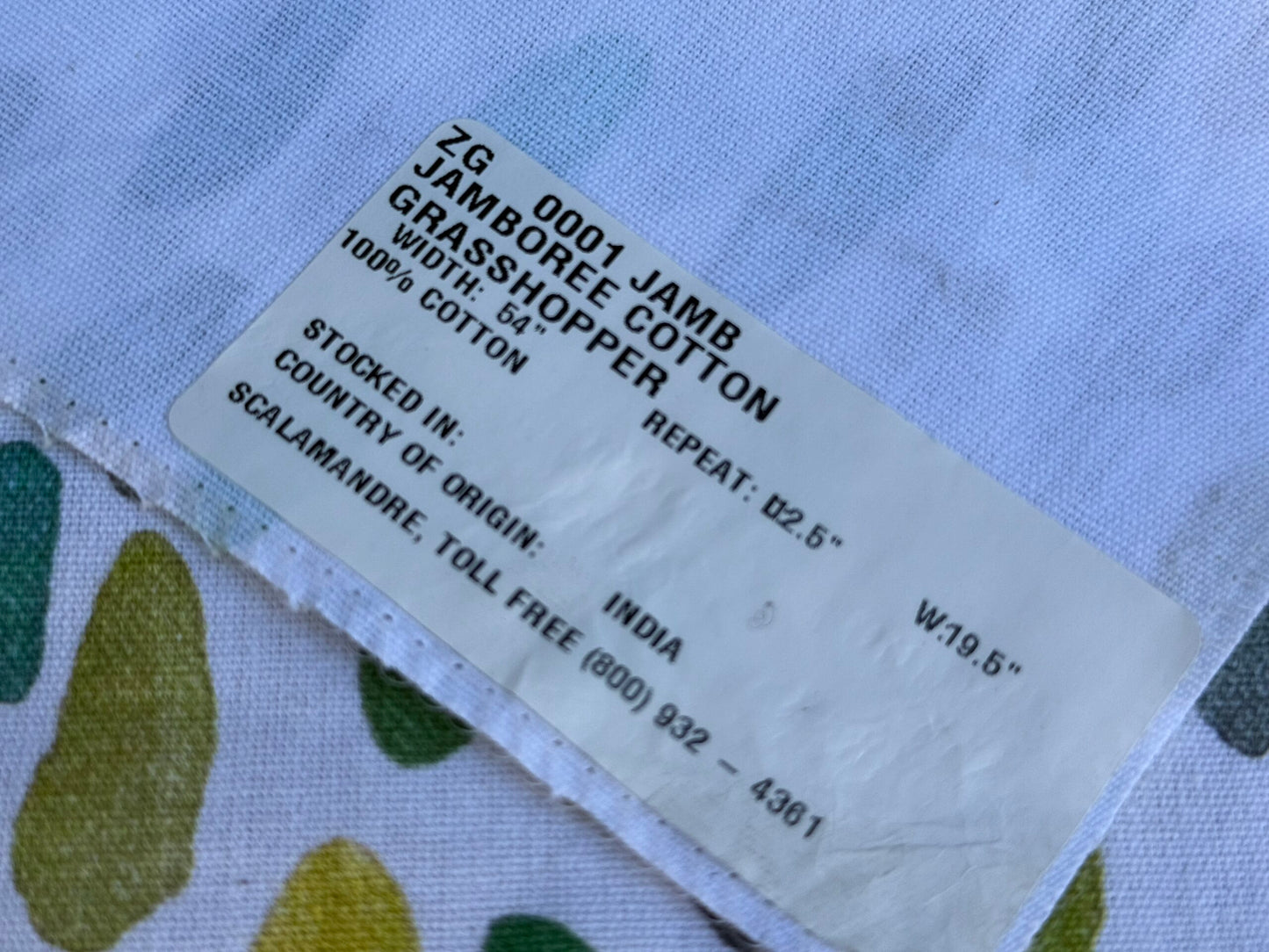 36 Berkbox106 18" x 18" Square Scalamandre Jamboree Cotton Grasshopper Cotton Green White Small Scale Dot