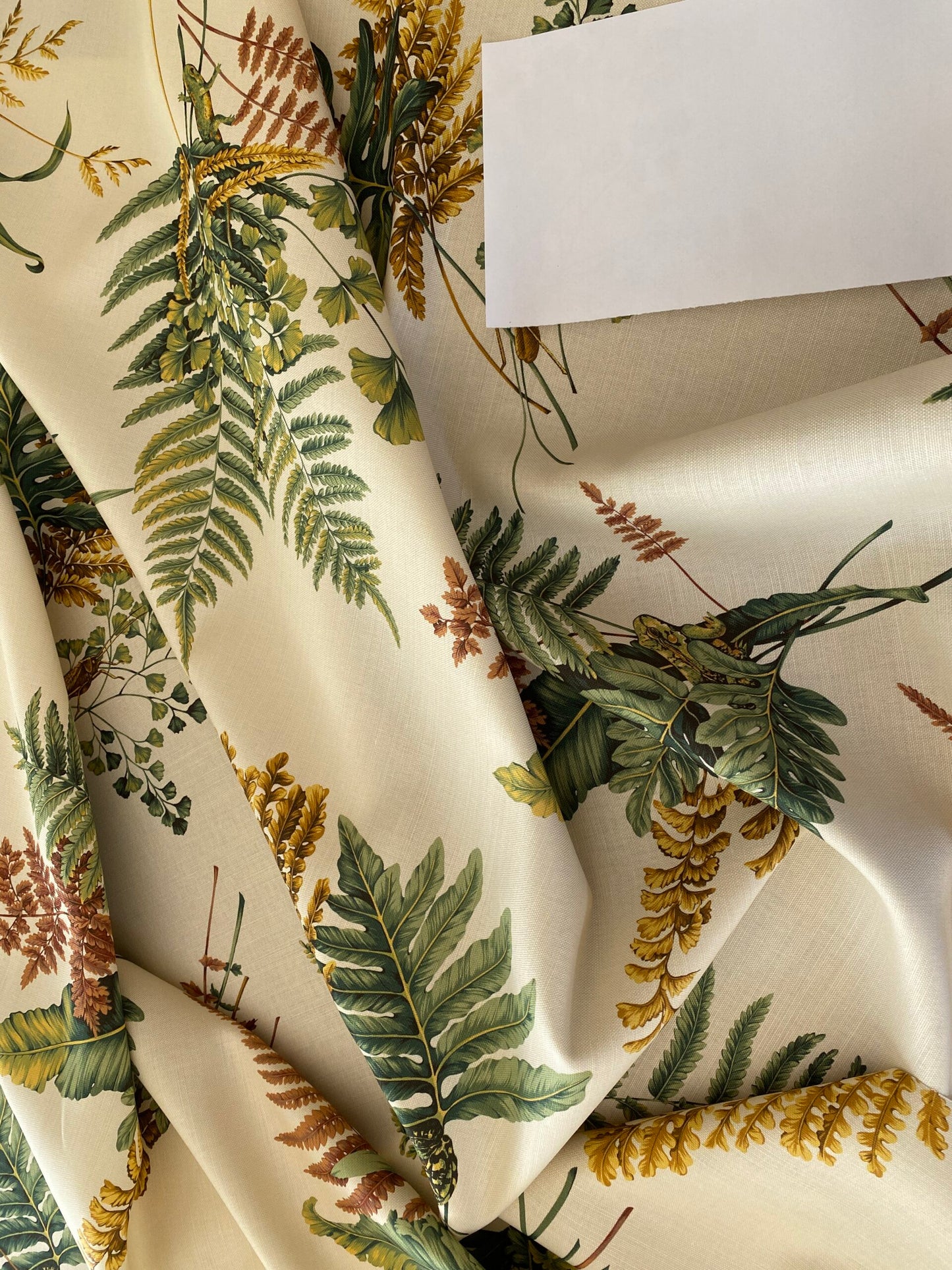 Scalamandre Felce Linen Fern Turtle Dragonfly Newt Wildlife Forest on MSRP USD 340/Y