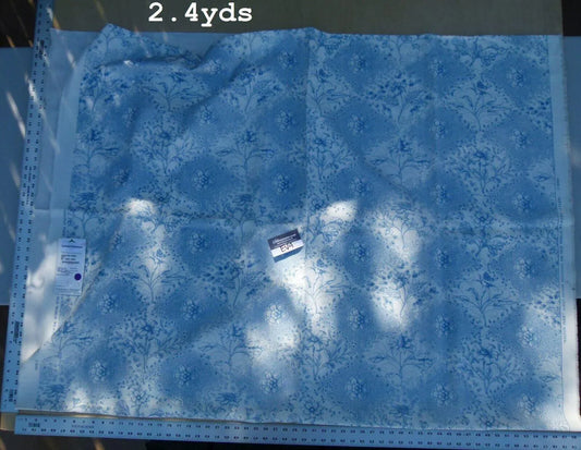 44 Ev4 Scalamandre Old World Weavers 2.4y Weston Park Sky Blue and White Outdoor Acrylic Floral Print