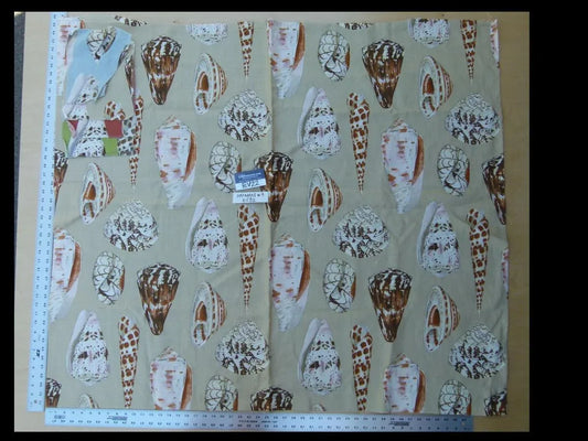 29 Ev22 Scalamandre Special Pieces 1.25yd Coquina Colorful Sea Shells Linen Print Sandy Background MSRP USD 382/Y
