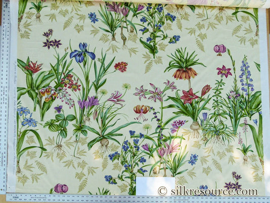 Scalamandre Le Jardin Du Bonheur Yellow Realistic Botanical Drawing And Painting. MSRP USD 612/y