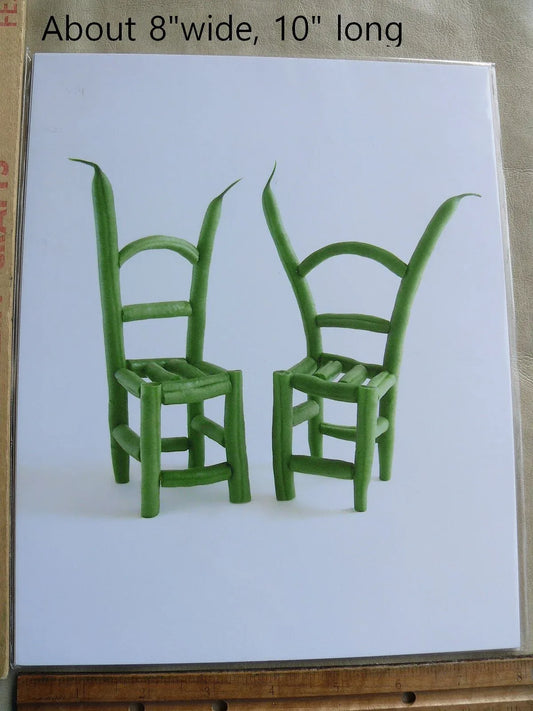 Flower and Vegetable Chair Green Beans Art Installation and Photograph Print Green Beans 8×10 inches