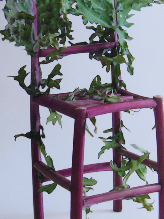Flower and Vegetable Chair Kale Art Installation and Photograph Print Kale 8x10 inches