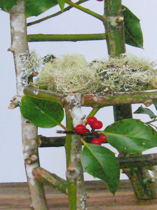 Flower Chair Christmas Holly Art Installation and Photograph Print Christmas Holly 8x10 inches