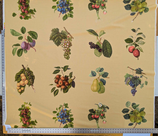 By Vertical Repeat 40 Inches Scalamandre Les Fruits Multi on Maize Grape Strawberry Cherry Plum Pear Blue MSRP USD 220/Y