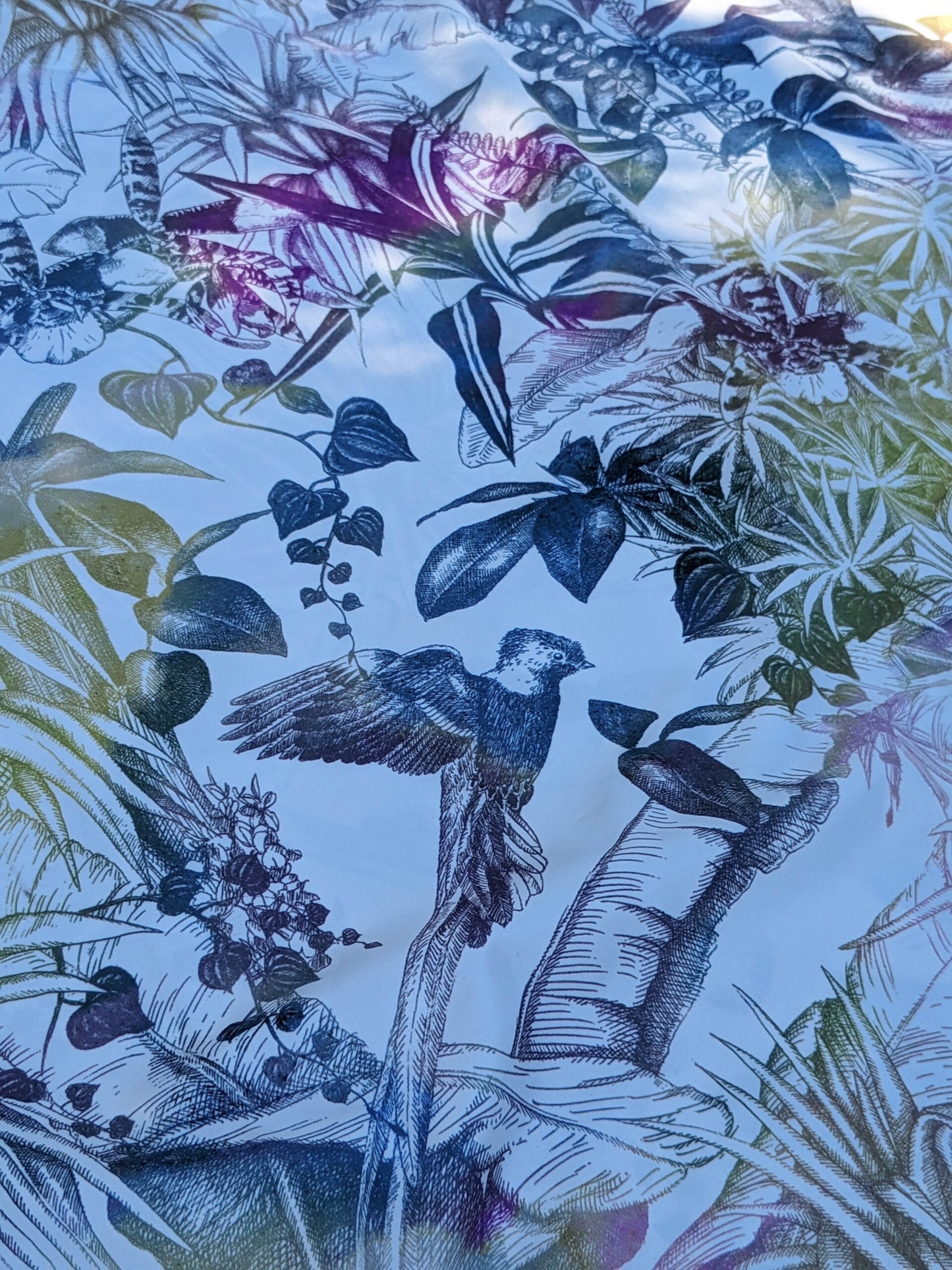 5 EV35 Length 2.5y Christian Fischbacher Benu Splash Midnight Plum Berry Yellow Pink Blue White Bird Floral Print Polyester MSRP USD 300+/y