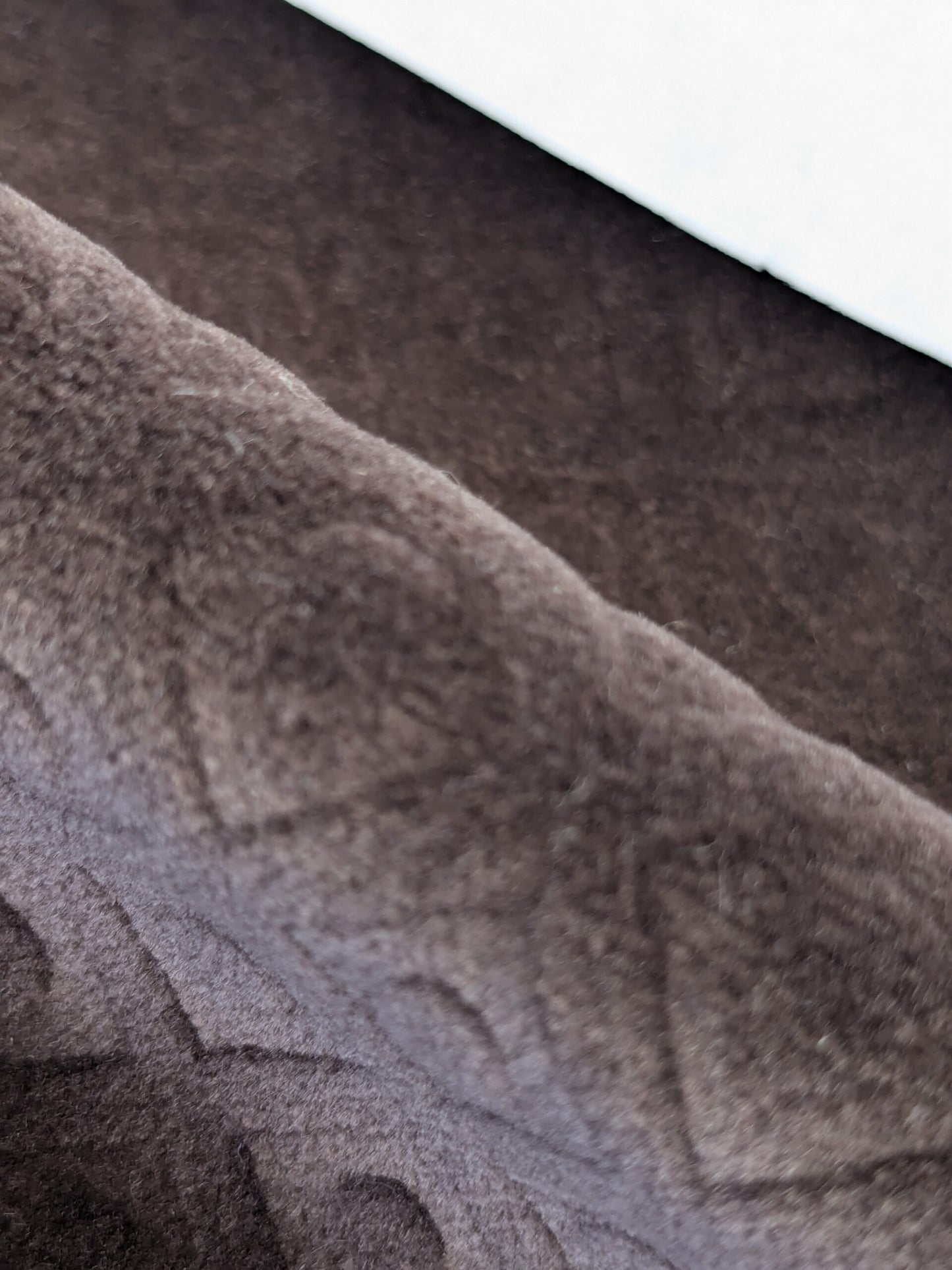 43 EV50 26" x 27" Scalamandre Colony Roma Argo Trellis Cacao Deep Brown Velvet Small Scale