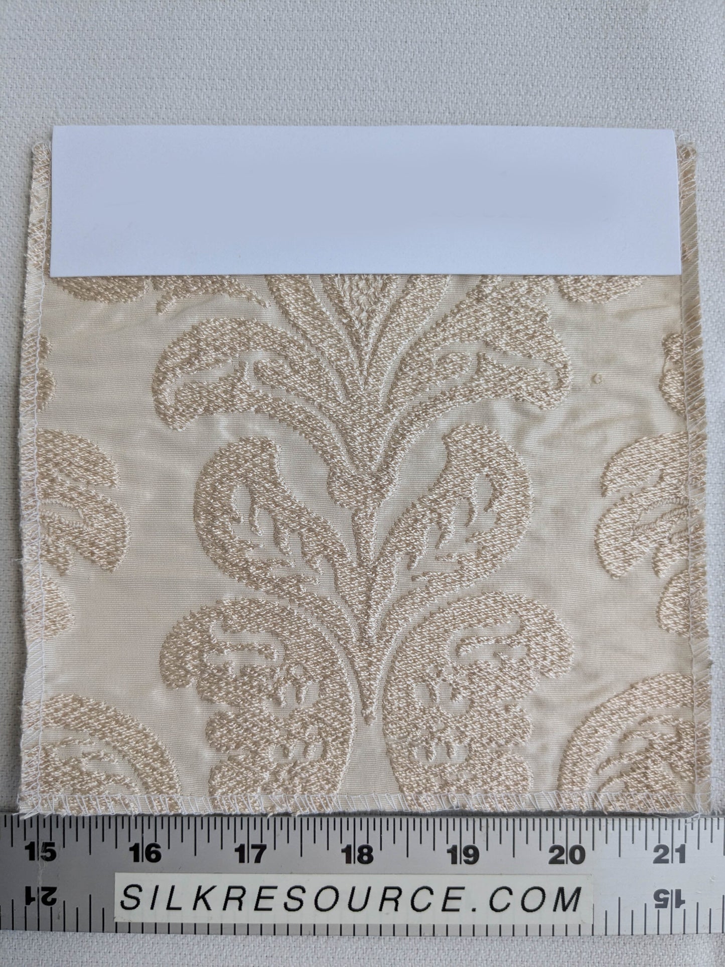 Lovelace Embroidery on Silk Faille Renaissance Damask Cameo Ivory White MSRP USD 413