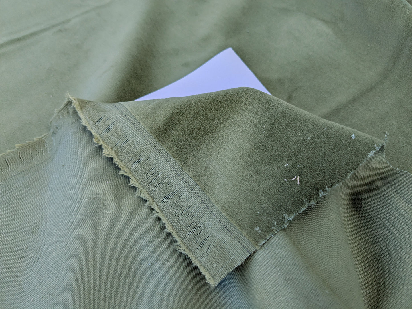 Designer High End Woodland Velvet in Golden Grass Green 100% Cotton Velvet By yard