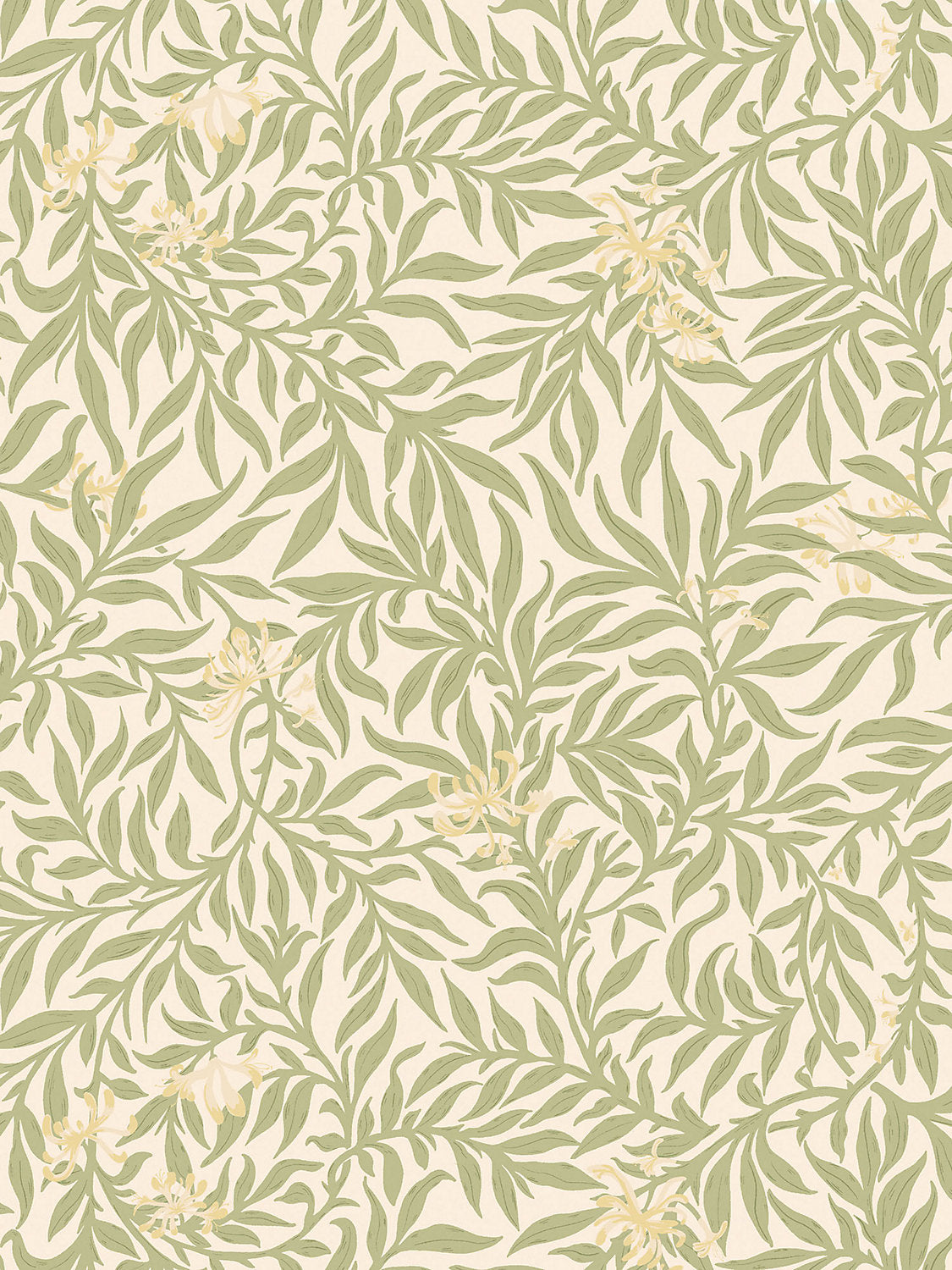 Scalamandre Honeysuckle Sage Wallcovering