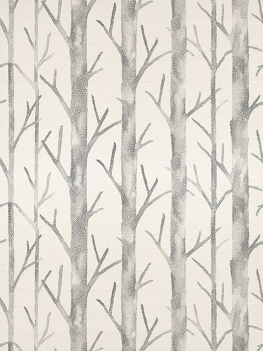Scalamandre Everett Silk Shadow Wallcovering
