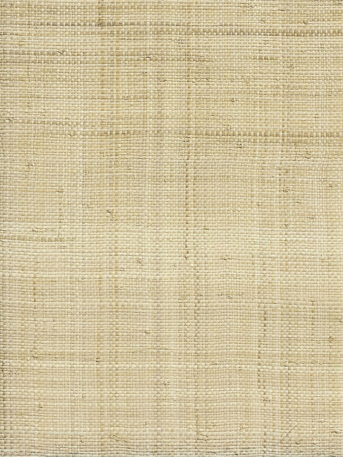 Scalamandre Imerina Bleached Vanilla Wallcovering