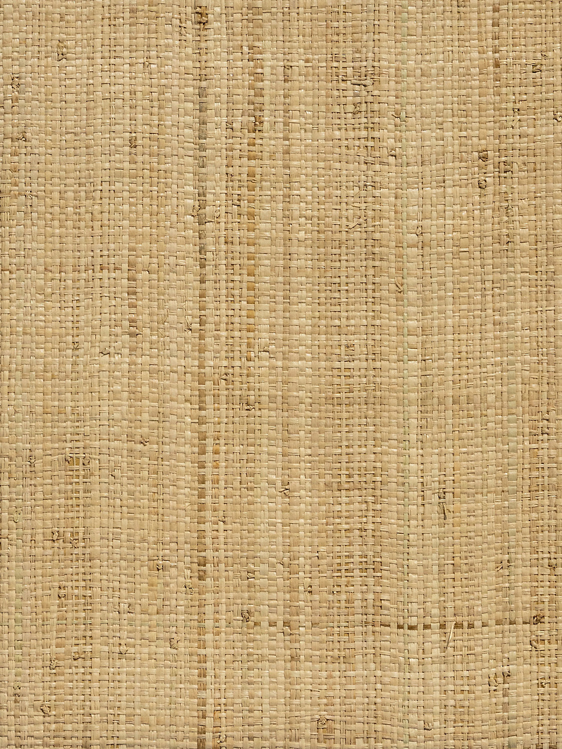 Scalamandre Imerina Reed Large Cloves Wallcovering
