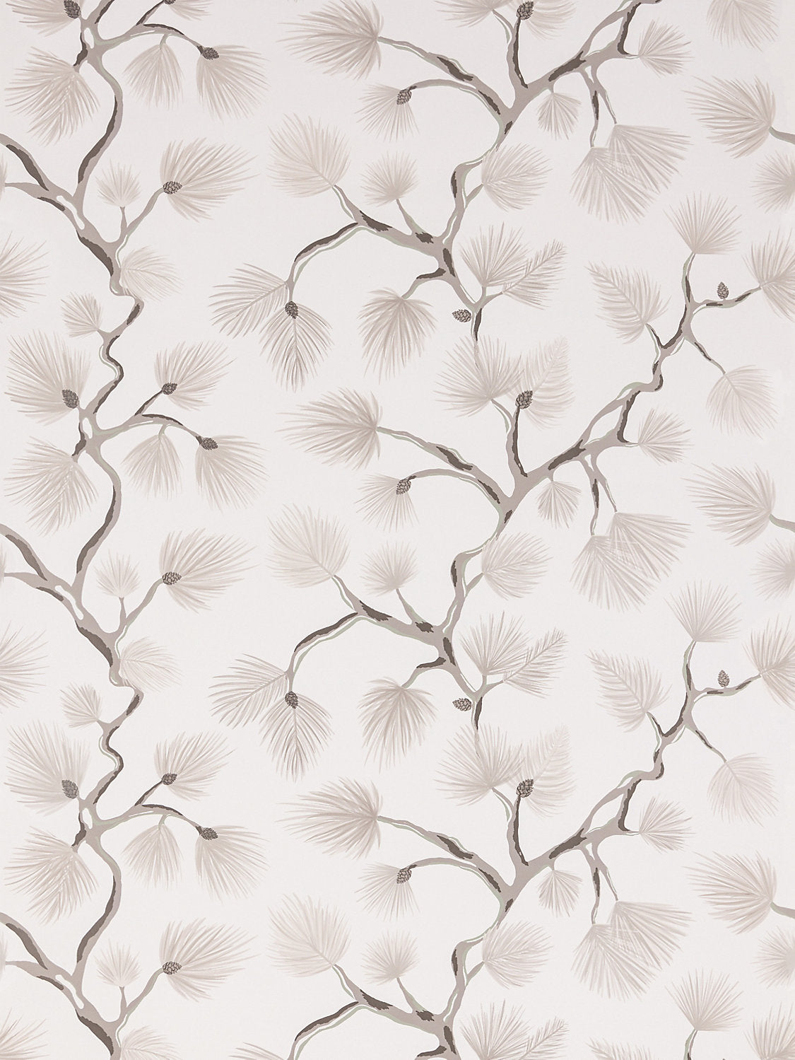 Scalamandre Pignoli Snow Wallcovering