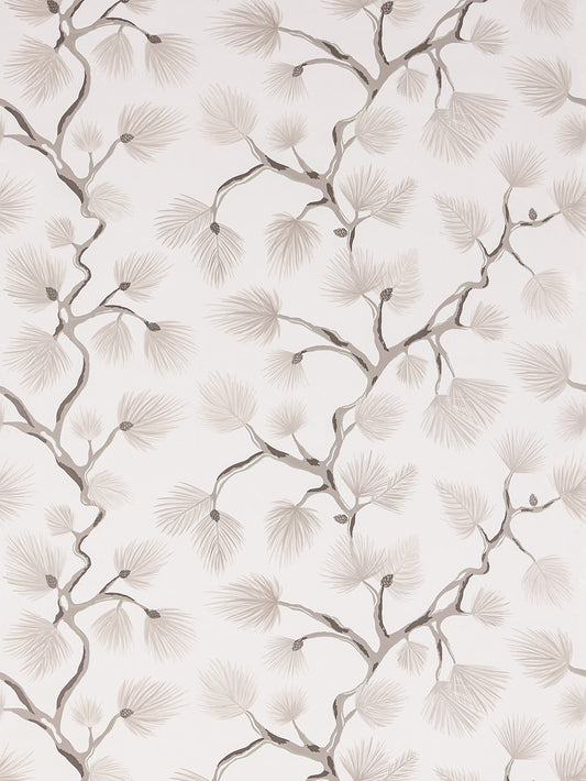 Scalamandre Pignoli Snow Wallcovering