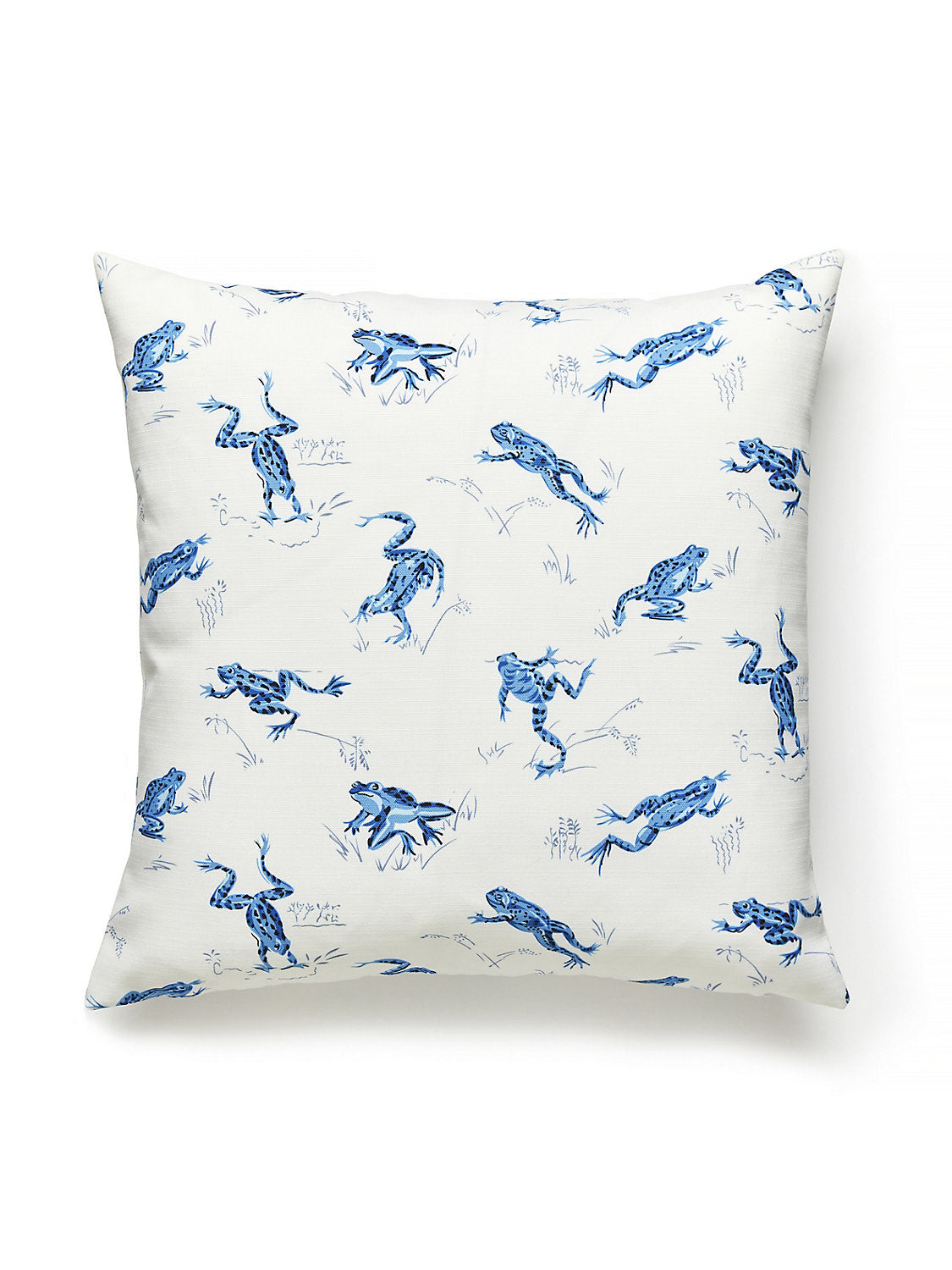 Scalamandre Calabasas Cnty Outdoor 22 X 22 - Creek Decorative Pillow