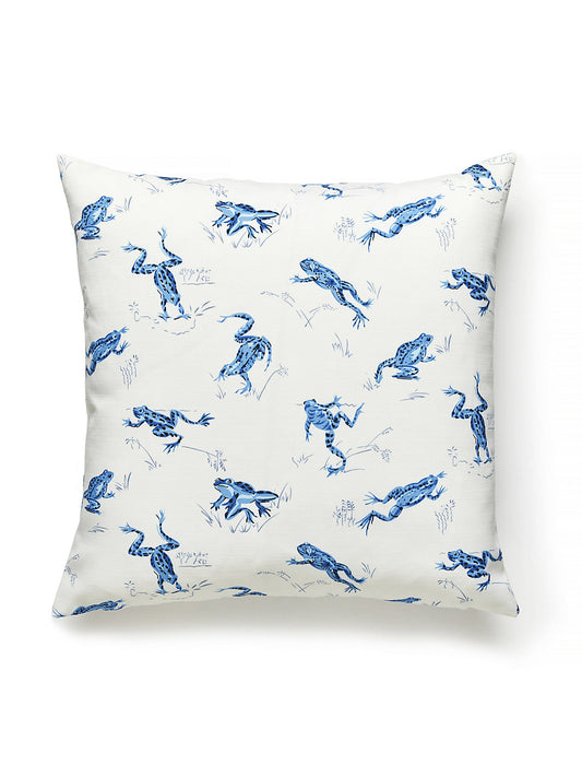 Scalamandre Calabasas Cnty Outdoor 22 X 22 - Creek Decorative Pillow