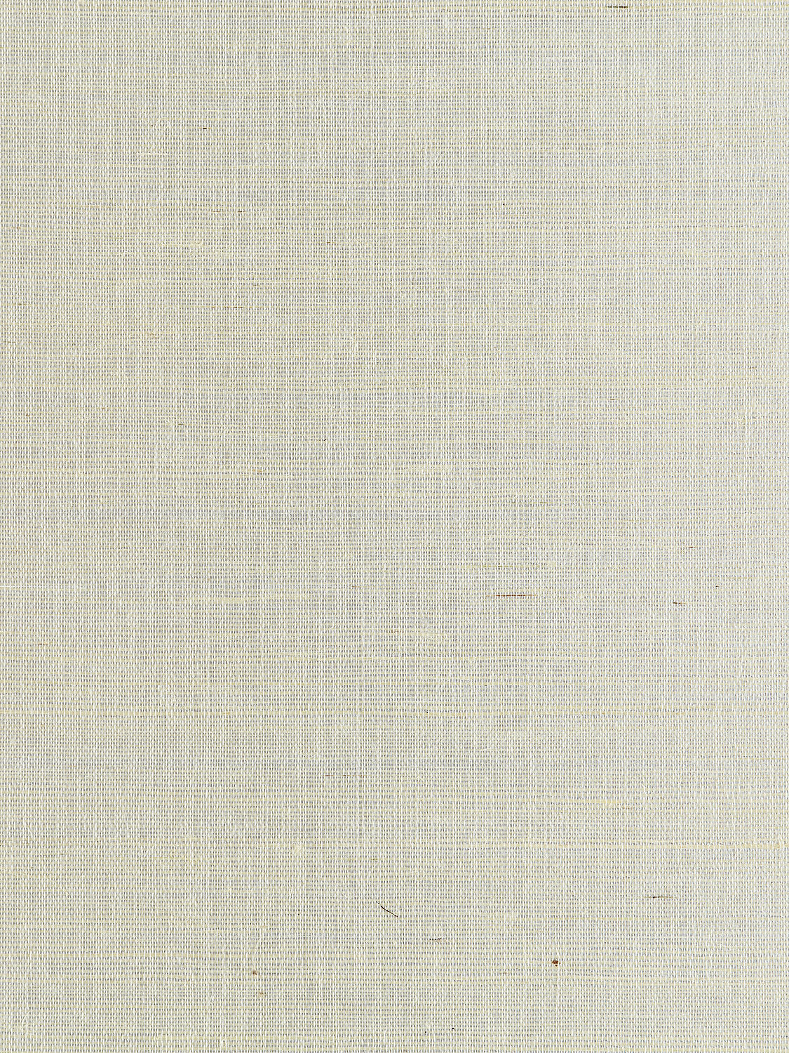 Scalamandre Metal Sisal Ice Wallcovering