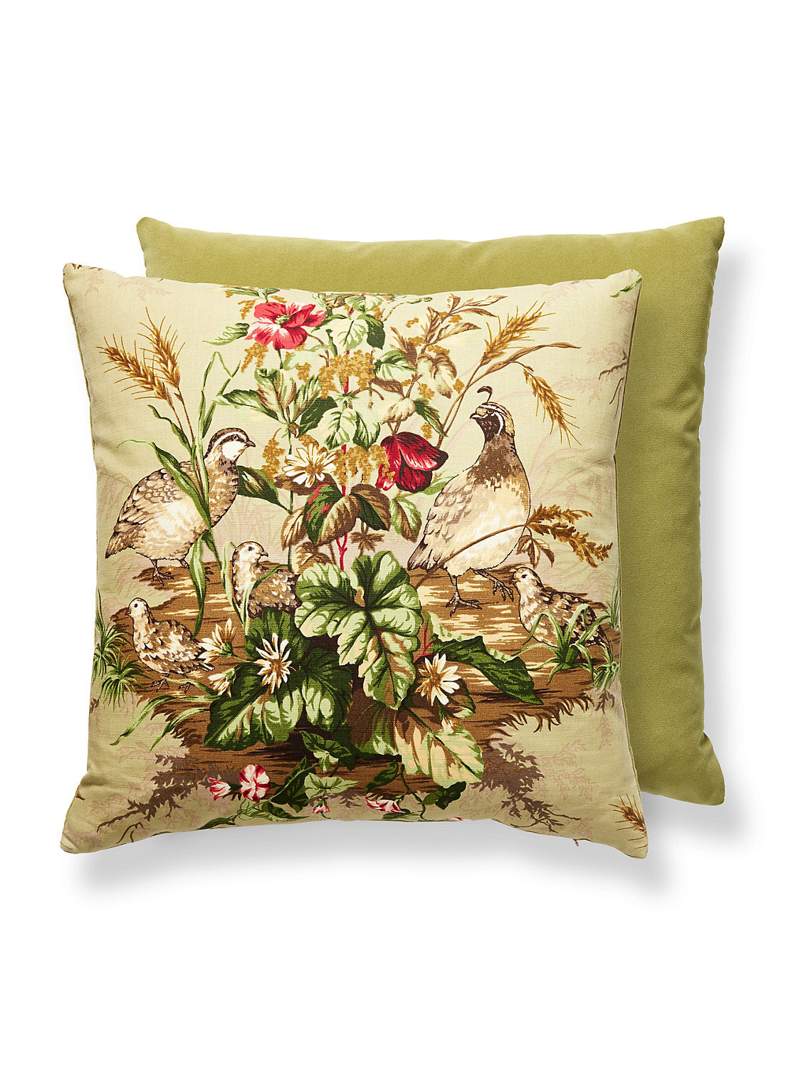 Scalamandre Edwin's Covey 22 X 22 - Multi on Willow Decorative Pillow