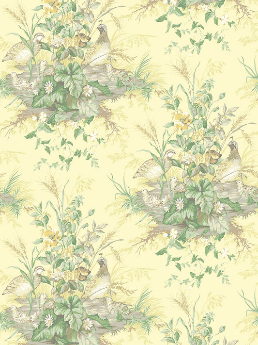 Scalamandre Edwin's Covey Sunlit Wallcovering