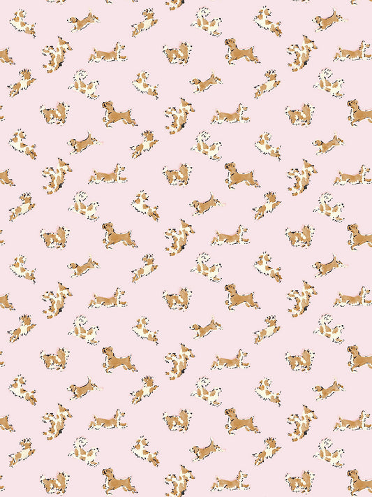 Scalamandre Fete De Chien Ballerina Pink and Honey Wallcovering