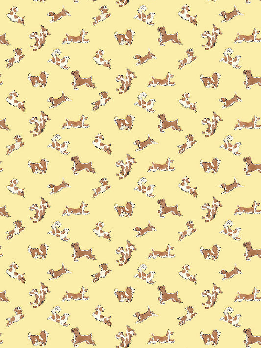 Scalamandre Fete De Chien Lemon and Siena Wallcovering