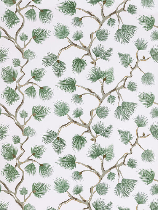 Scalamandre Pignoli Fern Wallcovering