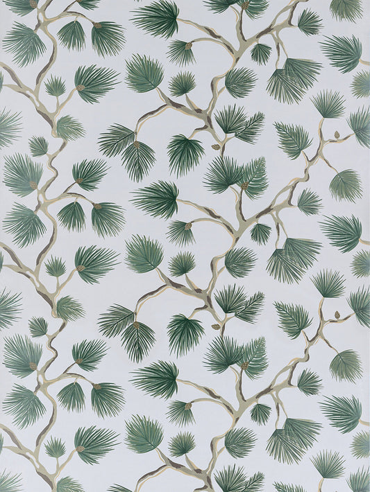 Scalamandre Pignoli Evergreen Wallcovering