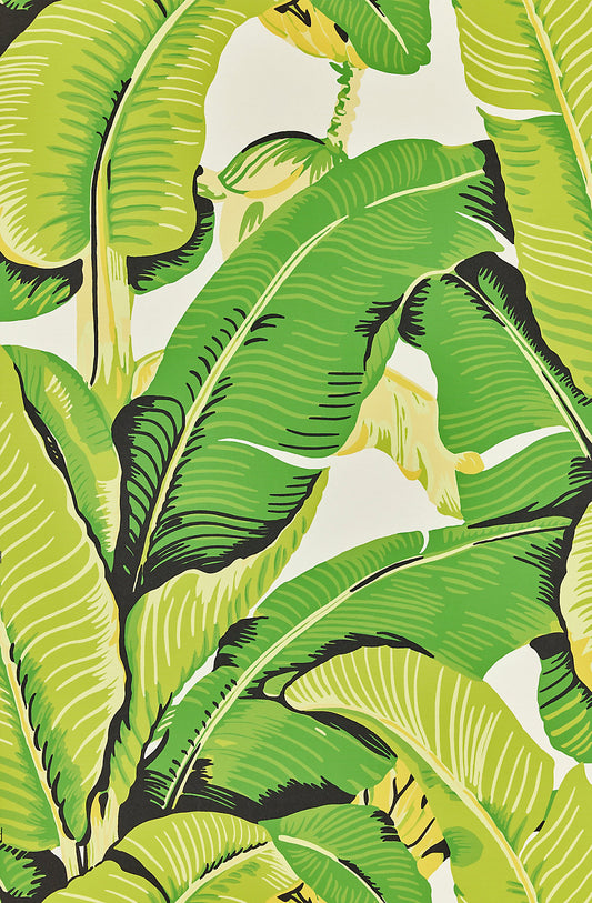 Hinson Palm Mojito Wallcovering