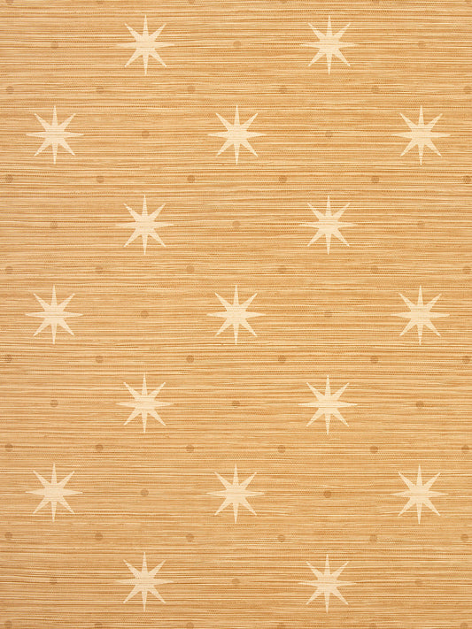 Hinson Big Trixie Rattan Wallcovering
