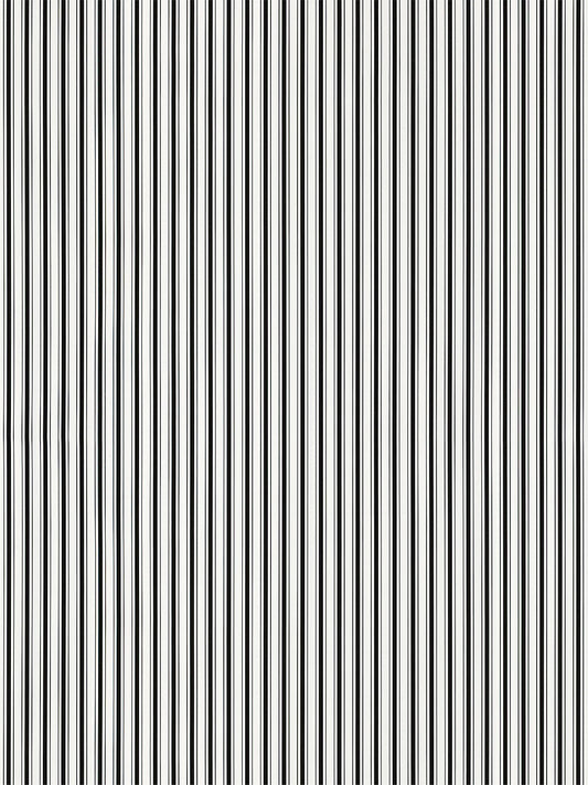 Hinson Johnson Stripe Onyx Wallcovering