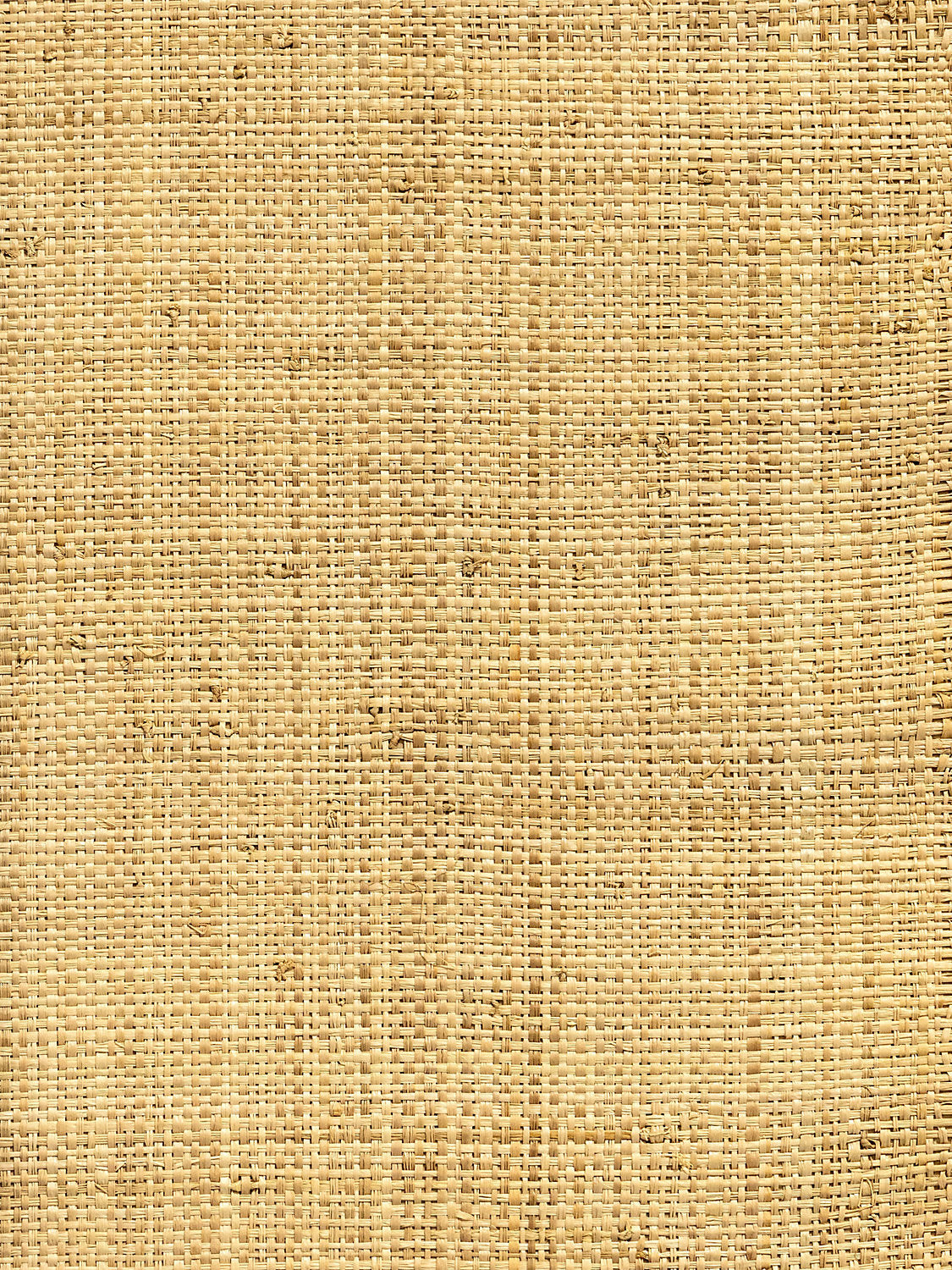 Hinson Madagascar Coarse Natural Wallcovering