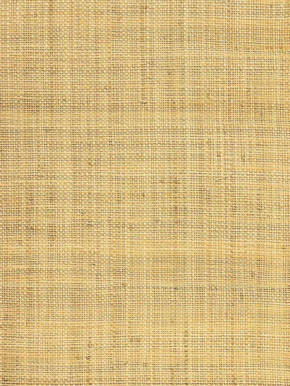 Hinson Madagascar Fine Natural Wallcovering