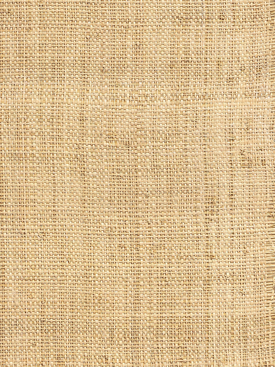 Hinson Madagascar Coarse Whitewashed Wallcovering