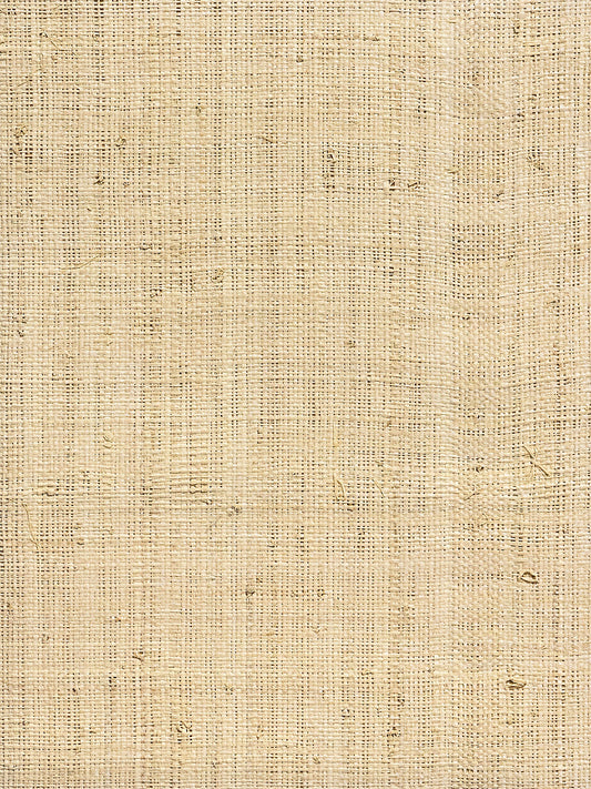 Hinson Madagascar Fine Whitewashed Wallcovering