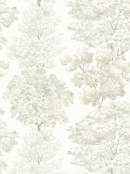 Scalamandre Central Park Ivory Wallcovering