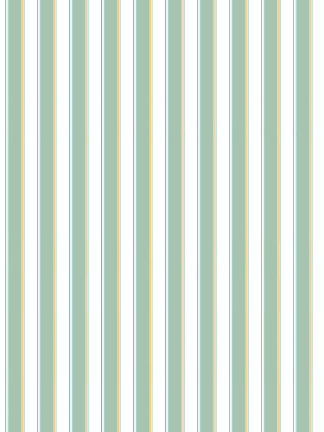 Scalamandre Piano Stripe Endive Wallcovering