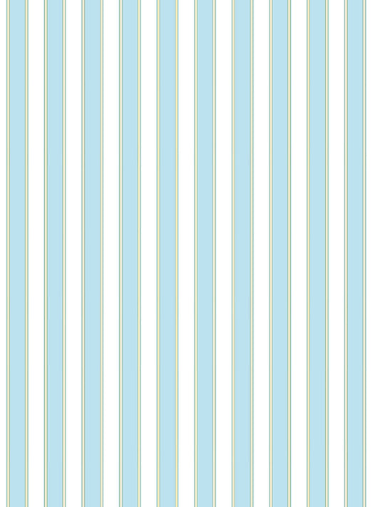 Scalamandre Piano Stripe Robin's Egg Wallcovering