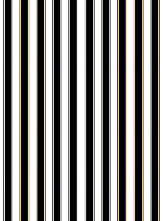 Scalamandre Piano Stripe Ebony Wallcovering
