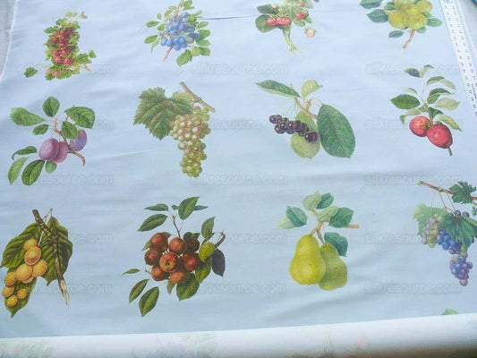 By Vertical Repeat 40 Inches Scalamandre Les Fruits Multi on Sky Blue Grape Strawberry Cherry Plum Pear Blue MSRP USD 220/Y