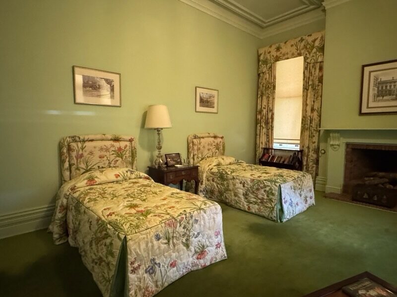 Scalamandre Le Jardin Du Bonheur Yellow Realistic Botanical Drawing And Painting Fabric: Perfect for Bedroom