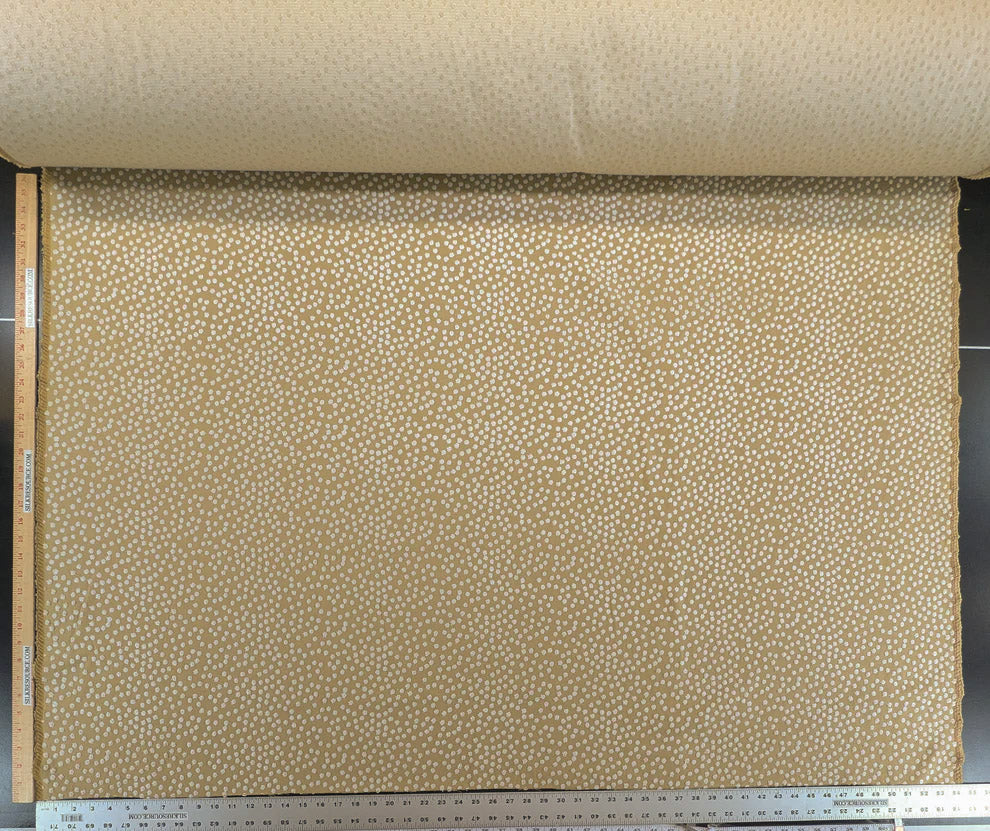 Scalamandre Dotty Eggshell Toast Brown White Chenille Jacquard Heavy Dots Circles Animal Skin MSRP USD 410/y