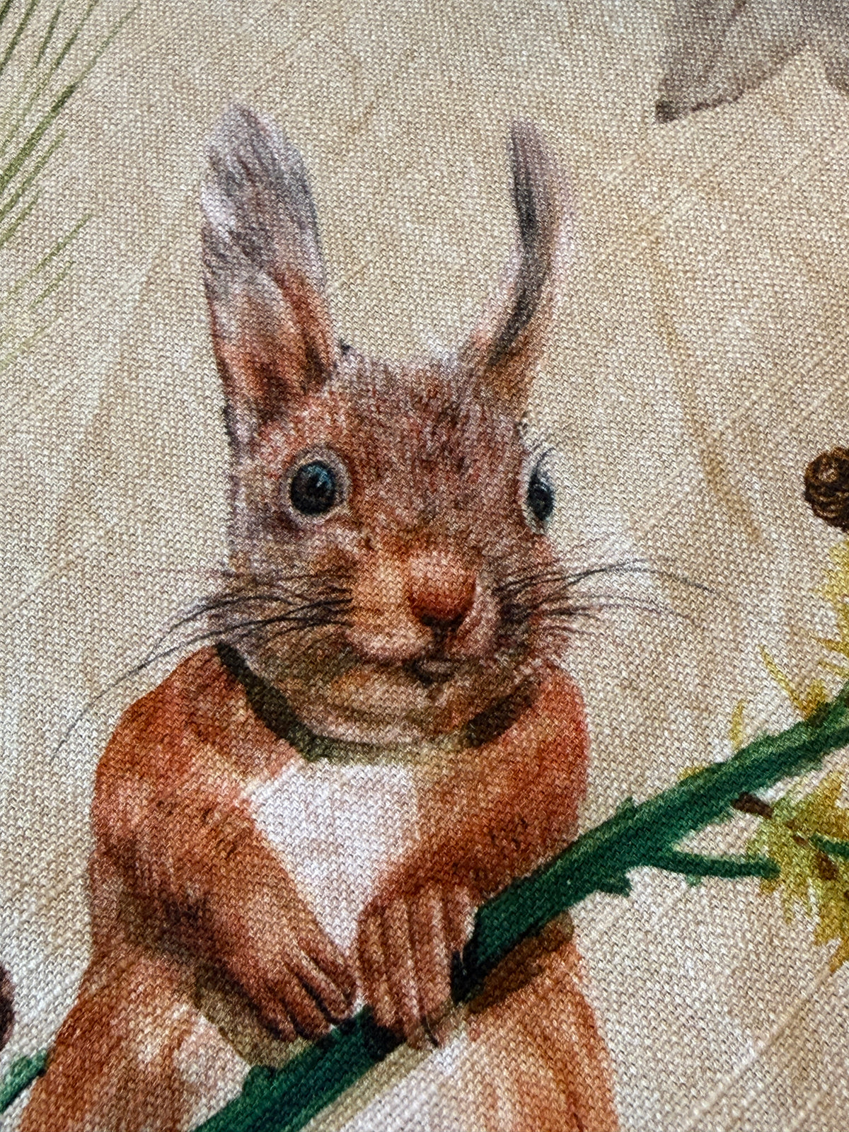 Maison d' Hermine Table Cloth Square Table Reusable 100% Cotton Nature Fall Squirrel Mushroom Acorn Pumpkin Flowers 60x120”