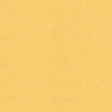 Brunschwig &amp; Fils Georges Satin Silk “Butter” Yellow  MSRP USD470/y